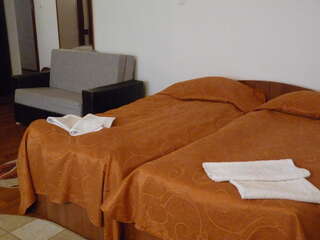 Гостевой дом Vila Transilvania Балваниос Двухместный номер с 2 отдельными кроватями-7